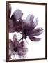 Moonflower I-Ken Hurd-Framed Giclee Print