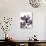 Moonflower II-Ken Hurd-Giclee Print displayed on a wall