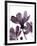 Moonflower II-Ken Hurd-Framed Giclee Print