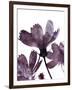 Moonflower II-Ken Hurd-Framed Giclee Print