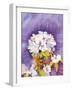 Moonflower-Mary Russel-Framed Giclee Print