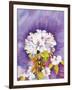 Moonflower-Mary Russel-Framed Giclee Print