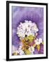 Moonflower-Mary Russel-Framed Giclee Print