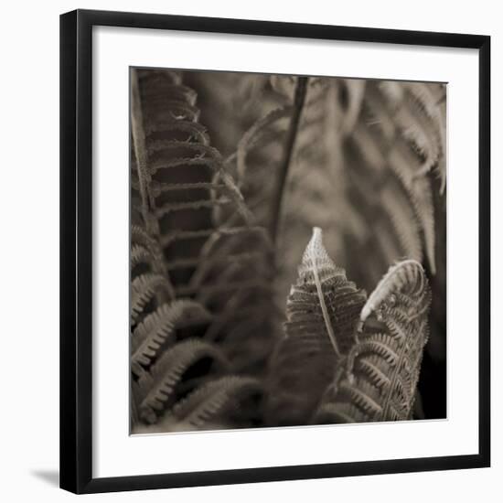 Moonglow II-Heather Johnston-Framed Giclee Print