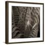 Moonglow II-Heather Johnston-Framed Giclee Print