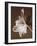 Moonglow Tulip-Rebecca Swanson-Framed Photographic Print