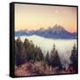 Moonlight and Foggy Snake River Overlook, Grand Teton-Vincent James-Framed Stretched Canvas