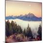 Moonlight and Foggy Snake River Overlook, Grand Teton-Vincent James-Mounted Photographic Print