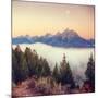 Moonlight and Foggy Snake River Overlook, Grand Teton-Vincent James-Mounted Photographic Print