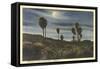 Moonlight at Twenty-Nine Palms-null-Framed Stretched Canvas