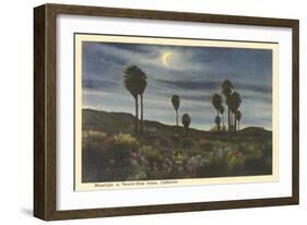 Moonlight at Twenty-Nine Palms-null-Framed Art Print