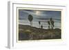 Moonlight at Twenty-Nine Palms-null-Framed Art Print