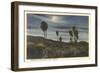 Moonlight at Twenty-Nine Palms-null-Framed Premium Giclee Print