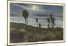 Moonlight at Twenty-Nine Palms-null-Mounted Premium Giclee Print