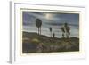 Moonlight at Twenty-Nine Palms-null-Framed Art Print