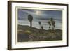 Moonlight at Twenty-Nine Palms-null-Framed Art Print