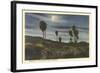 Moonlight at Twenty-Nine Palms-null-Framed Art Print