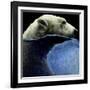 Moonlight Dip-Will Bullas-Framed Giclee Print