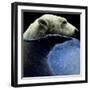 Moonlight Dip-Will Bullas-Framed Premium Giclee Print