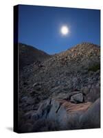 Moonlight Illuminates the Rugged Terrain of Bow Willow Canyon, California-null-Stretched Canvas