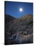 Moonlight Illuminates the Rugged Terrain of Bow Willow Canyon, California-null-Stretched Canvas