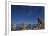 Moonlight Illuminates the Tufa Formations at Mono Lake, California-null-Framed Photographic Print