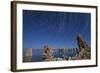 Moonlight Illuminates the Tufa Formations at Mono Lake, California-null-Framed Photographic Print