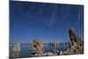 Moonlight Illuminates the Tufa Formations at Mono Lake, California-null-Mounted Photographic Print