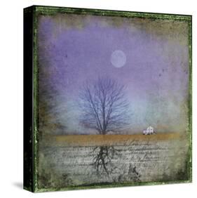 Moonlight in Vermont-Dawne Polis-Stretched Canvas