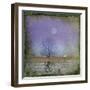 Moonlight in Vermont-Dawne Polis-Framed Art Print