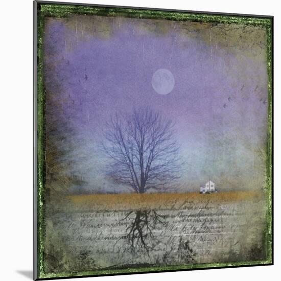 Moonlight in Vermont-Dawne Polis-Mounted Art Print