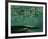 Moonlight, Isle of Shoals, 1892-Childe Hassam-Framed Giclee Print