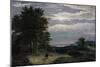Moonlight Landscape-Johannes Adrianus Drift-Mounted Giclee Print