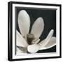 Moonlight Lily Pond I-Lucy Meadows-Framed Giclee Print