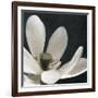 Moonlight Lily Pond I-Lucy Meadows-Framed Giclee Print