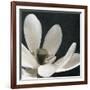 Moonlight Lily Pond I-Lucy Meadows-Framed Giclee Print