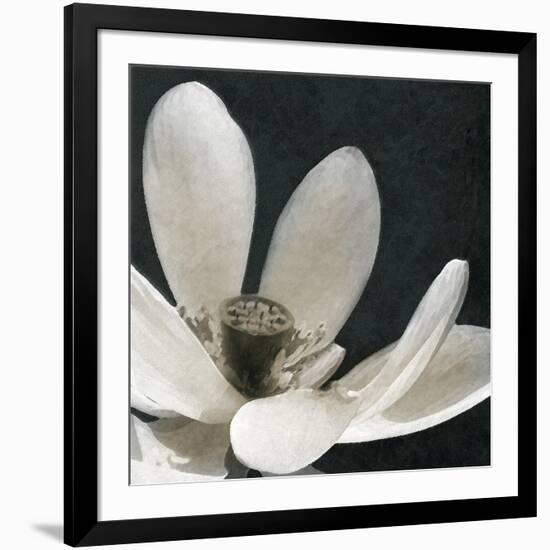 Moonlight Lily Pond I-Lucy Meadows-Framed Giclee Print