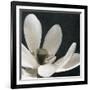 Moonlight Lily Pond I-Lucy Meadows-Framed Giclee Print