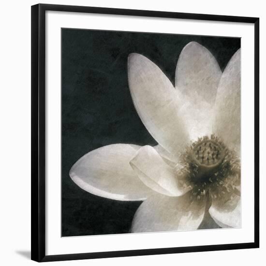 Moonlight Lily Pond II-Lucy Meadows-Framed Giclee Print