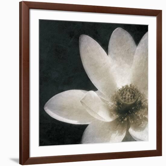 Moonlight Lily Pond II-Lucy Meadows-Framed Giclee Print