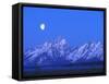 Moonlight on Grand Teton Range, Wyoming, USA-Stefano Amantini-Framed Stretched Canvas