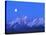 Moonlight on Grand Teton Range, Wyoming, USA-Stefano Amantini-Stretched Canvas