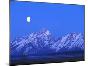 Moonlight on Grand Teton Range, Wyoming, USA-Stefano Amantini-Mounted Photographic Print