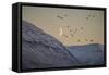 Moonlight over Snow Covered Mountain-Arctic-Images-Framed Stretched Canvas