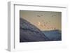 Moonlight over Snow Covered Mountain-Arctic-Images-Framed Photographic Print