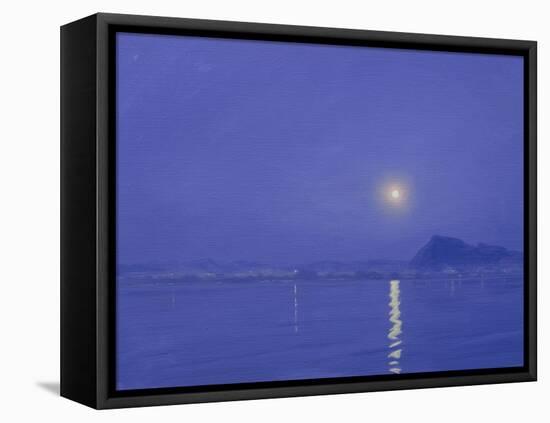 Moonlight over Udaipur-Derek Hare-Framed Stretched Canvas