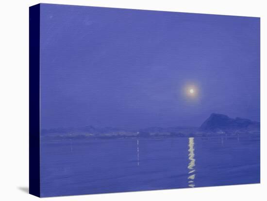 Moonlight over Udaipur-Derek Hare-Stretched Canvas