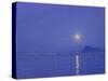 Moonlight over Udaipur-Derek Hare-Stretched Canvas
