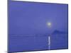Moonlight over Udaipur-Derek Hare-Mounted Giclee Print