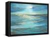 Moonlight Reef-Sheila Finch-Framed Stretched Canvas